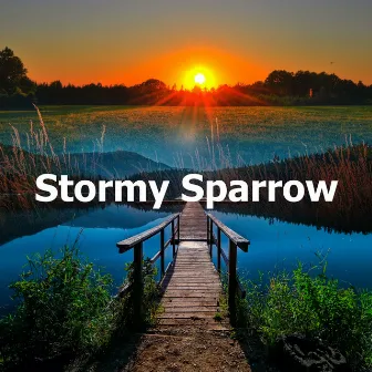 Stormy Sparrow by Australian Nature Sounds