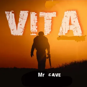 Vita by Mr Gave