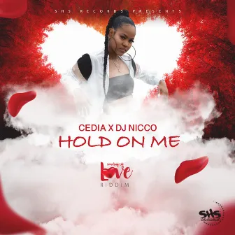 Hold on Me by Dj Nicco