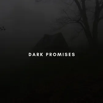 Dark Promises by Landiv Dee