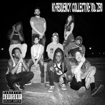 No Frequency Collective, Vol. Zero by No Frequency Collective