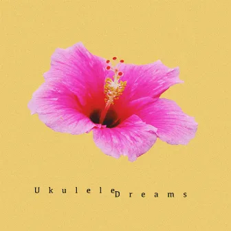 Ukulele Dreams by FeTTa