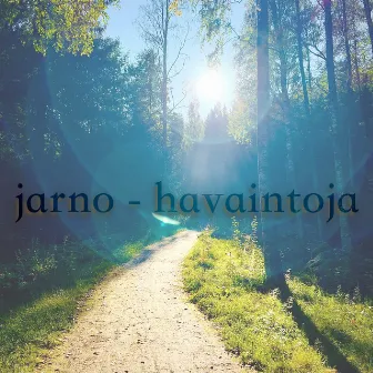 Havaintoja by Jarno