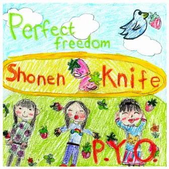 Perfect Freedom / P.Y.O by Shonen Knife