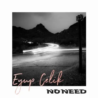 No Need by Eyup Celik