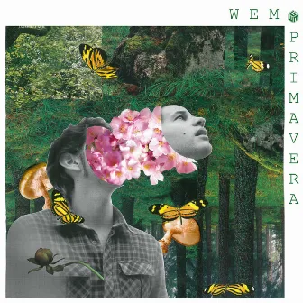 Primavera by Wem