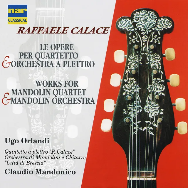 Concerto per mandolino e pianoforte in A Minor, Op. 144: I. Allegro moderato