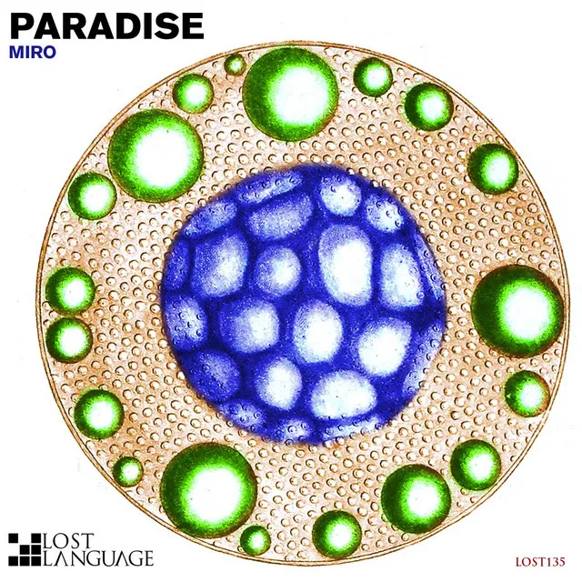 Paradise Remixes