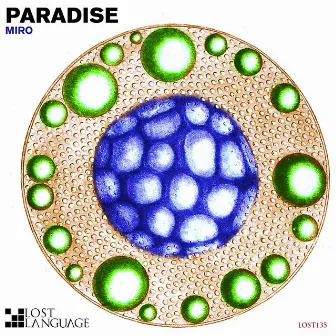 Paradise Remixes by Miro