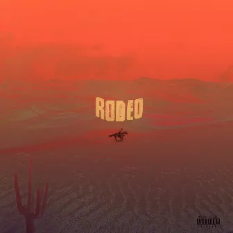 Rodeo by Stige