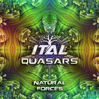 Natural Forces by The Quasars