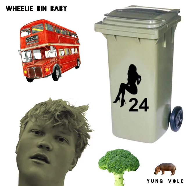 Wheelie Bin Baby