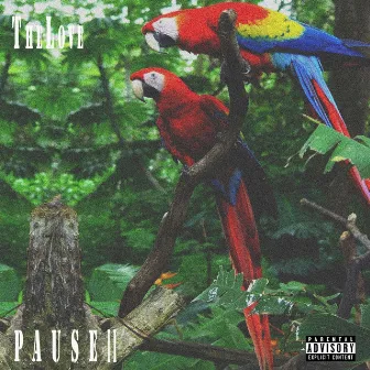 Pause, pt. 2 by TheLove