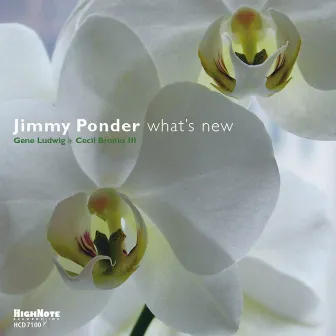 What's New by Jimmy Ponder