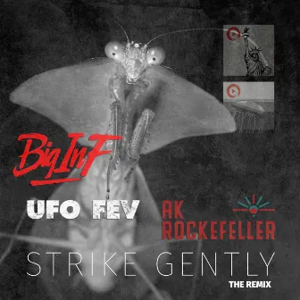 Strike Gently (AK Rockefeller Remix) by Big Inf