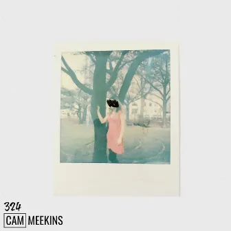 324 by Cam Meekins