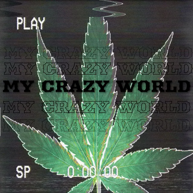 My Crazy World