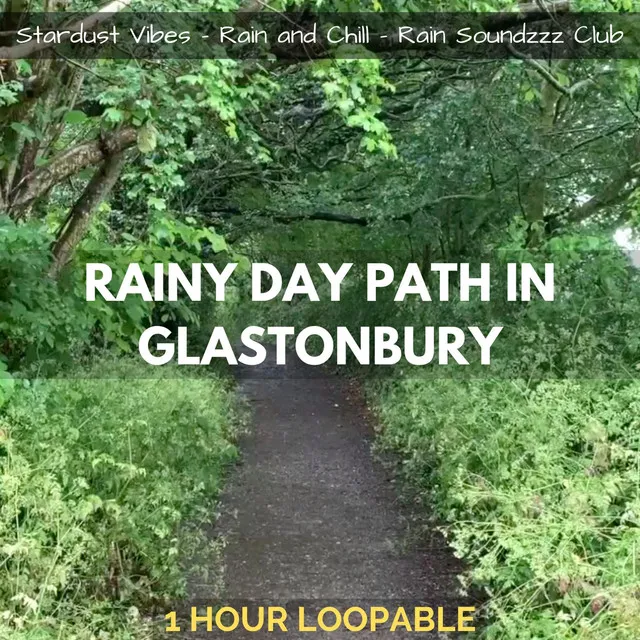 Rainy Day Path in Glastonbury