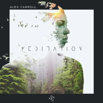 Meditation by Alex Carroll