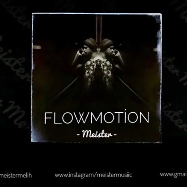 FlowMotion