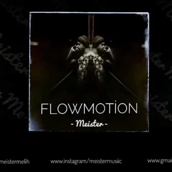 FlowMotion by Meister