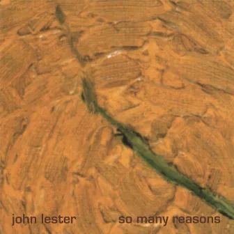 So Many Reasons by John Lester