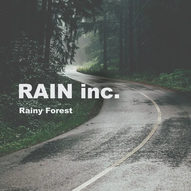 Rainy Forest