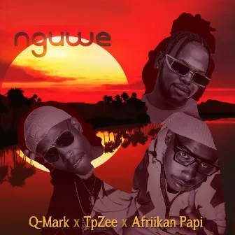 Nguwe by Afriikan Papi