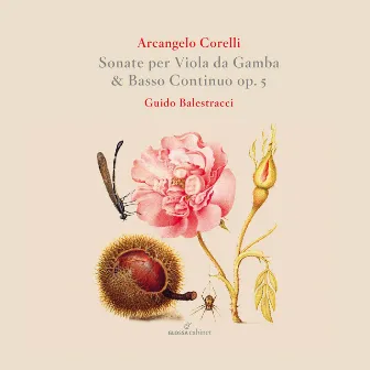 Sonate per Viola da Gamba & basso continuo op. 5 by Guido Balestracci