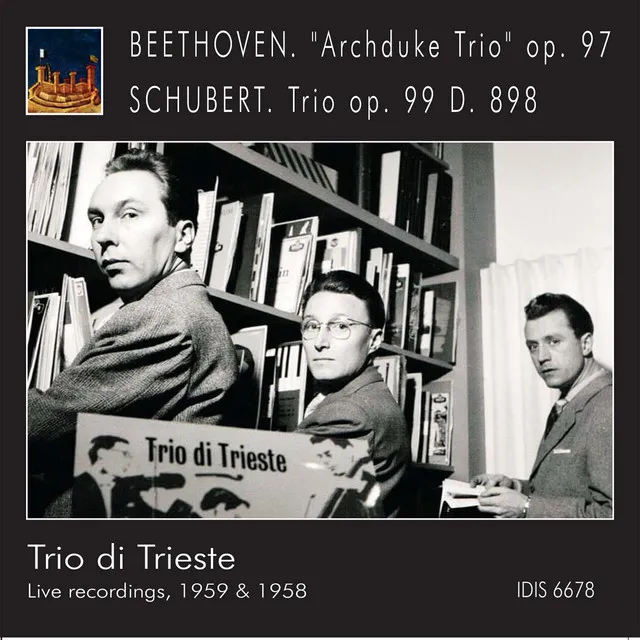 Piano Trio No. 1 in B-Flat Major, Op. 99, D. 898: I. Allegro moderato