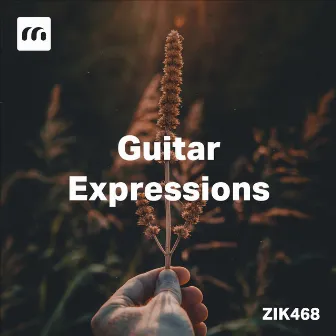 Guitar Expressions by Hervé Brault