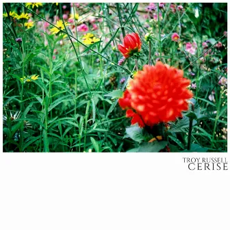 Cerise by Troy Russell