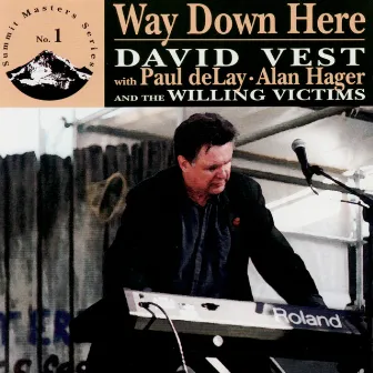 Way Down Here by David Vest