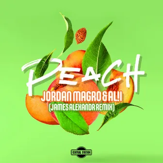 Peach (James Alexandr Remix) by James Alexandr