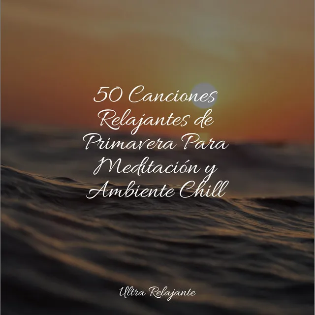 50 Canciones Relajantes de Primavera Para Meditación y Ambiente Chill