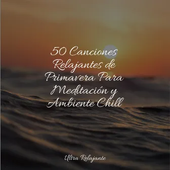 50 Canciones Relajantes de Primavera Para Meditación y Ambiente Chill by Musica Meditaction