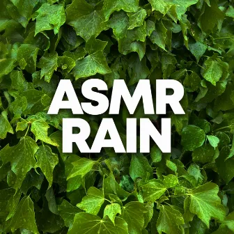 ASMR Rain by ASMR