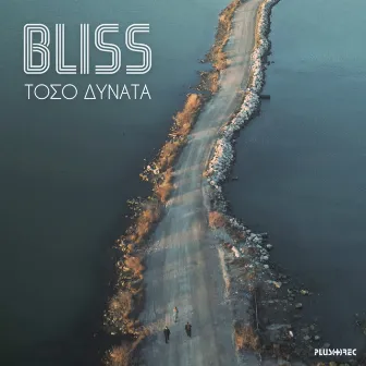 Toso Dynata by Bliss