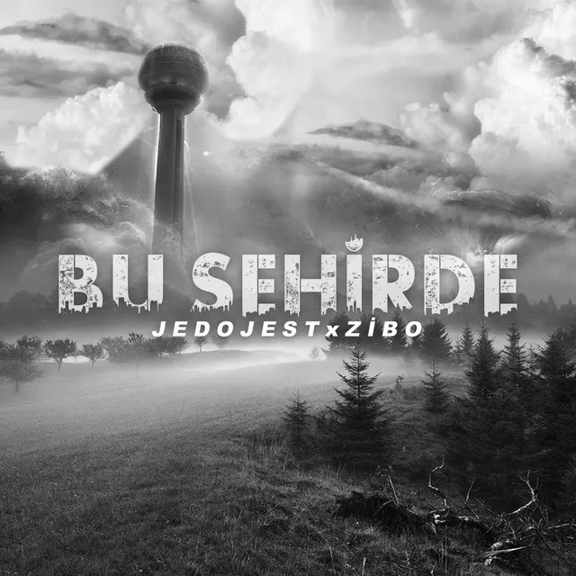 Bu Şehirde