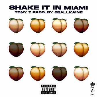 Shake It in Miami by TONY 7