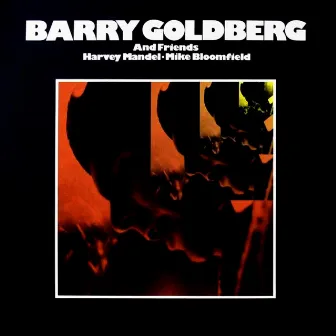 Barry Goldberg & Friends by Barry Goldberg