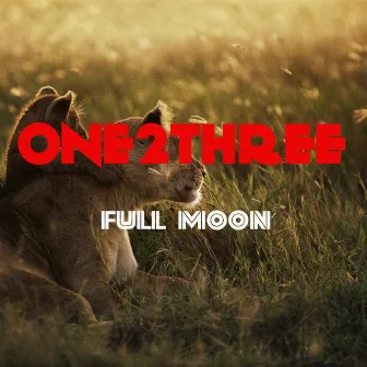 Full Moon by One2Three