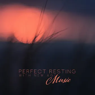 Perfect Resting with New Age Music: Compilation of Best 2019 Relaxation Music, Soft Sounds, Calming Down, Stress Free, Inner Calmness by Total Relax Music Ambient