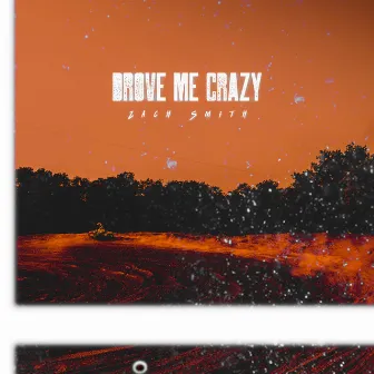 Drove Me Crazy by Zach Smith