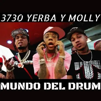 3730 Yerba Y Molly (Pista Base Instrumental Beat Dembow) by Neno 30