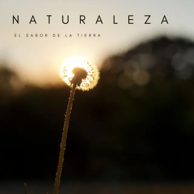 Sonidos De La Naturaleza