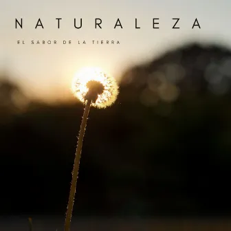 Naturaleza: El Sabor De La Tierra by Ondas Alfa Puras