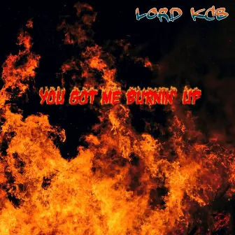 You Got Me Burnin' Up by Lord KCB