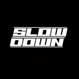 SLOW DOWN by TNO!