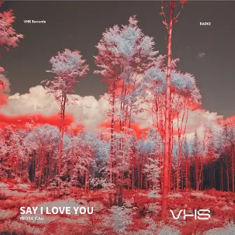 Say I Love You by VEGEE CAU